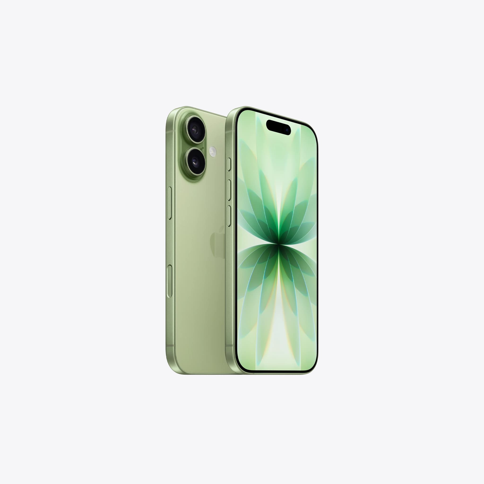 iphone-17-finish-select-202509-sage_GEO_US